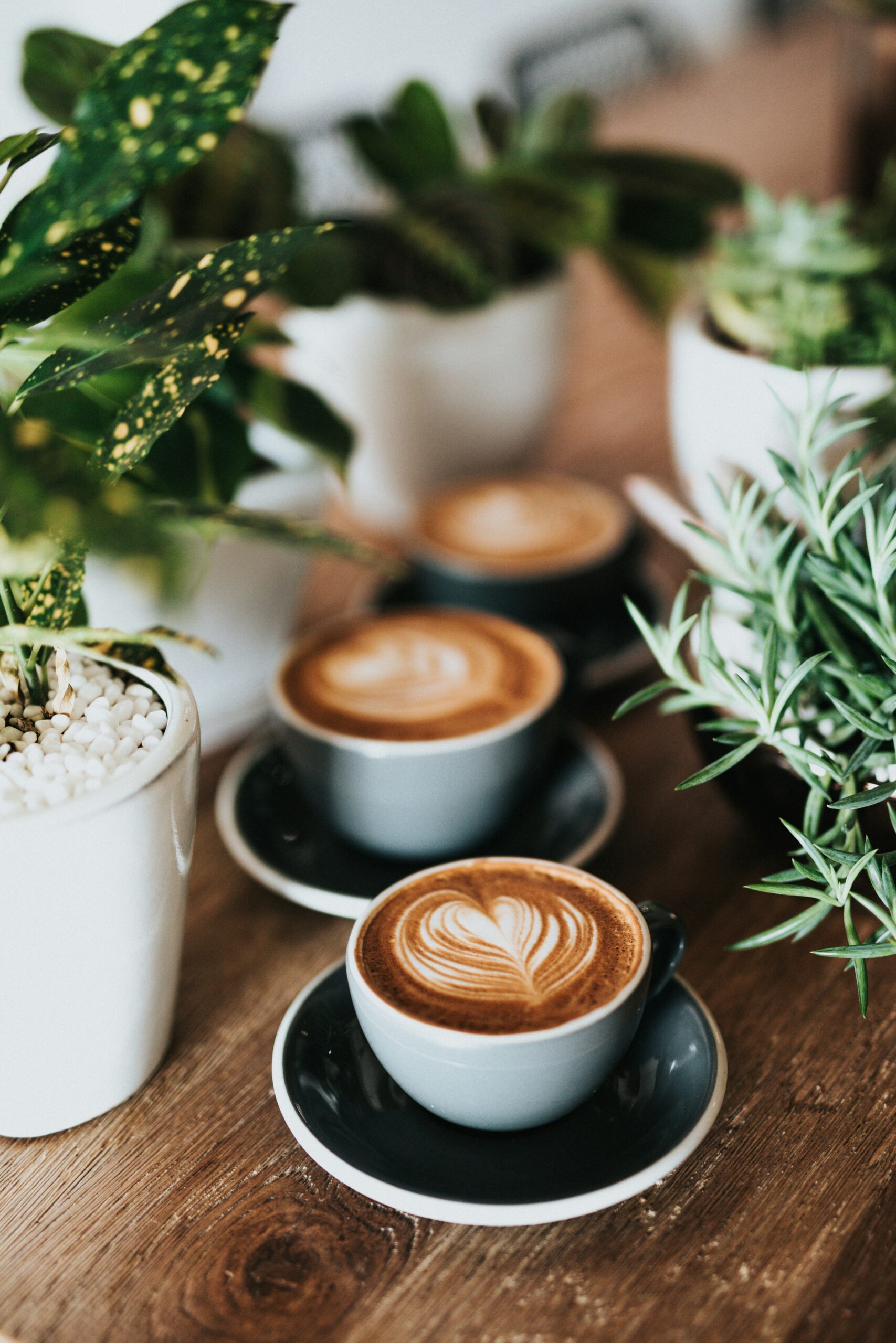 Read more about the article Café com baunilha: como criar drinks para surpreender os seus convidados
